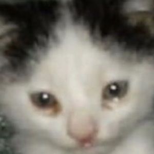 Meet your Posher, Erick